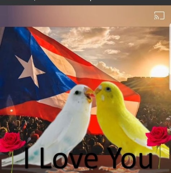 Meet your Posher, Olga - Picture 1 of 1